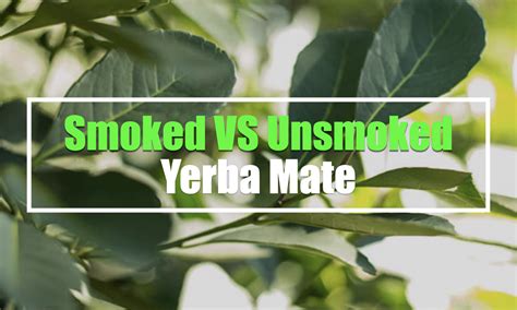 smoked vs unsmoked yerba mate.